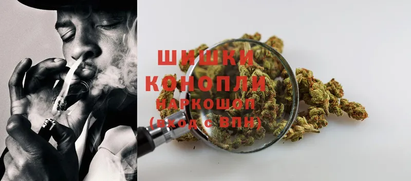 Канабис OG Kush  Рыльск 